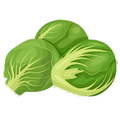 Choux de Bruxelles